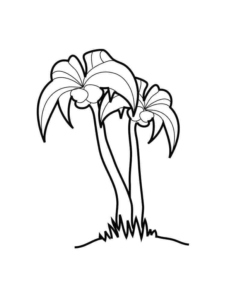 Simple Palm Trees