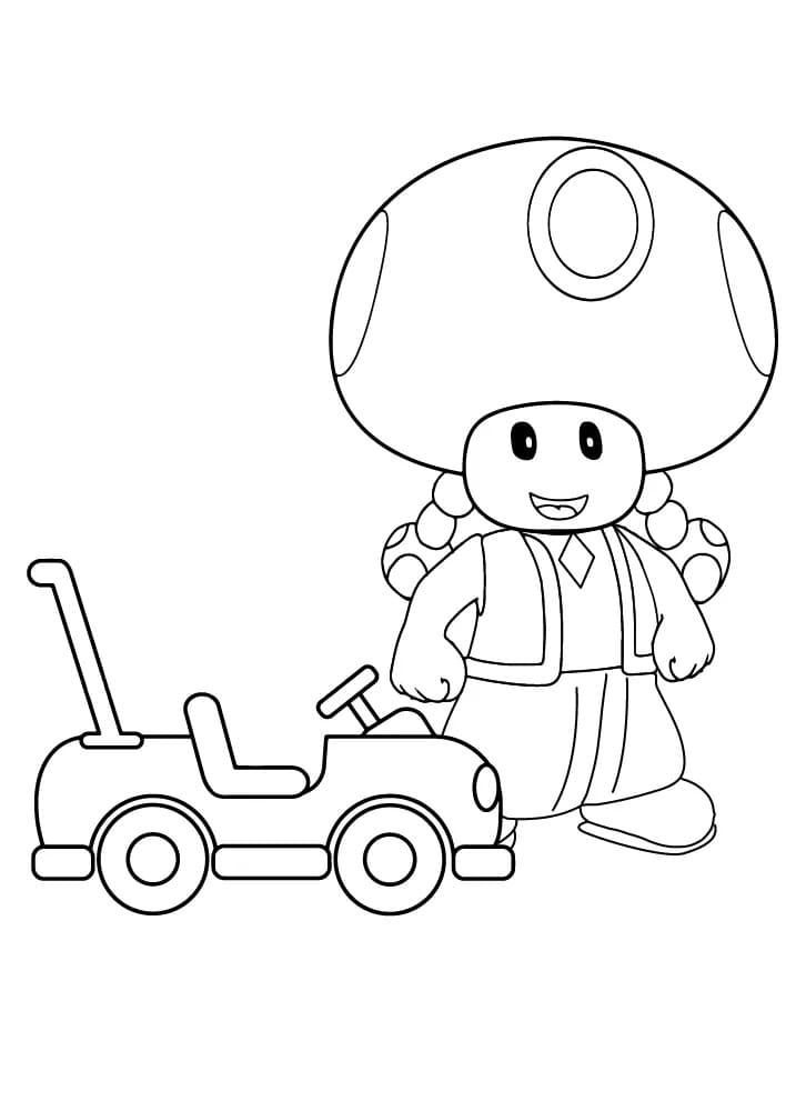 Toadette and Car