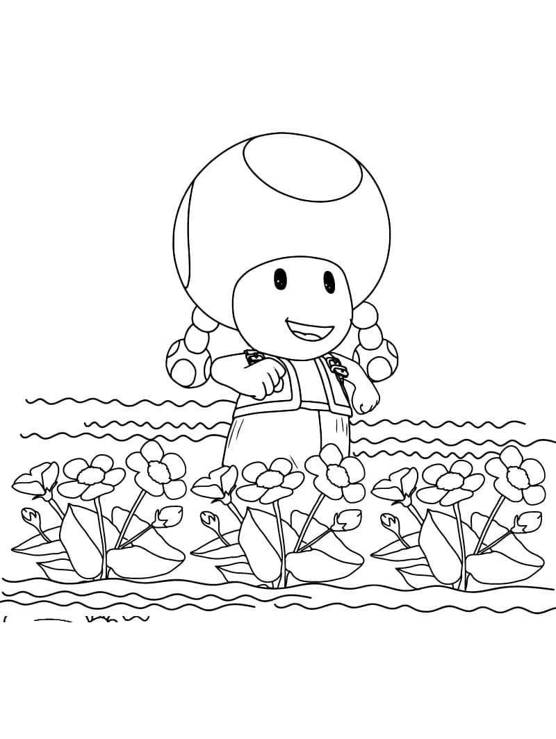 Toadette for Free