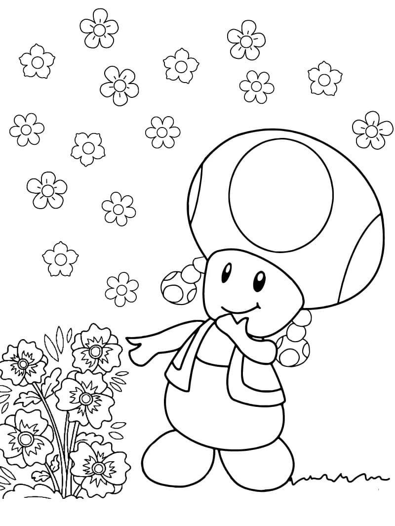 Toadette Free