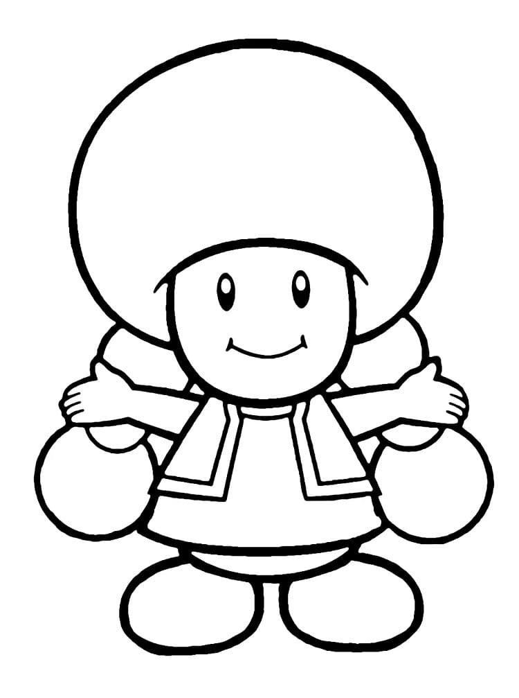 Toadette from Mario