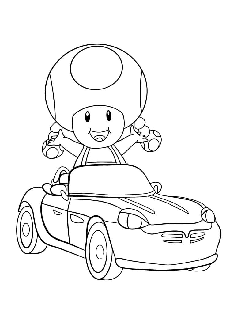 Toadette is Driving Car