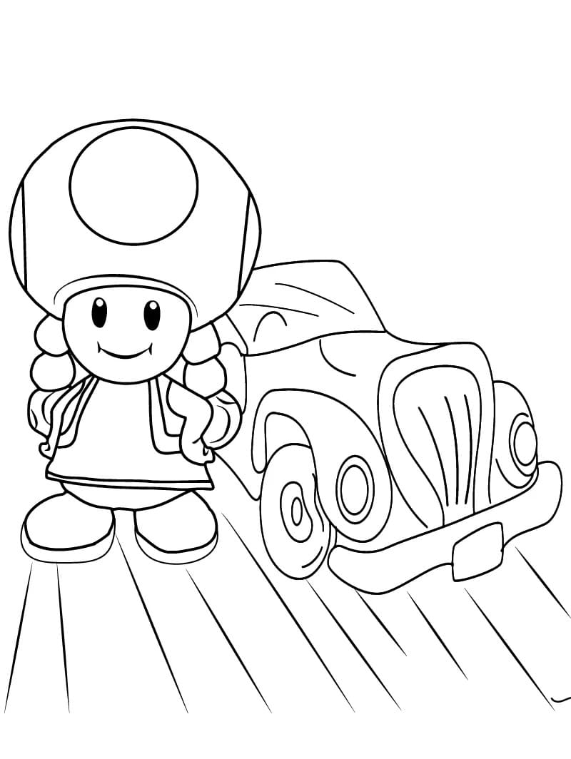 Toadette with A Car