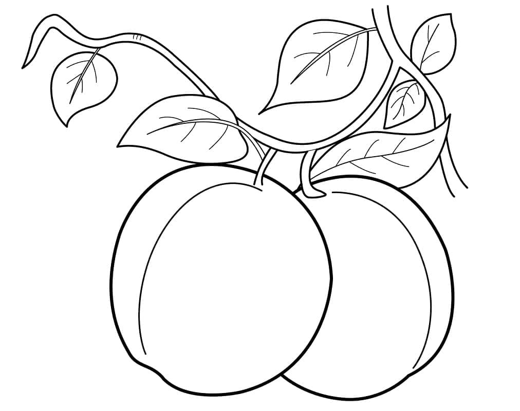 Peach coloring pages