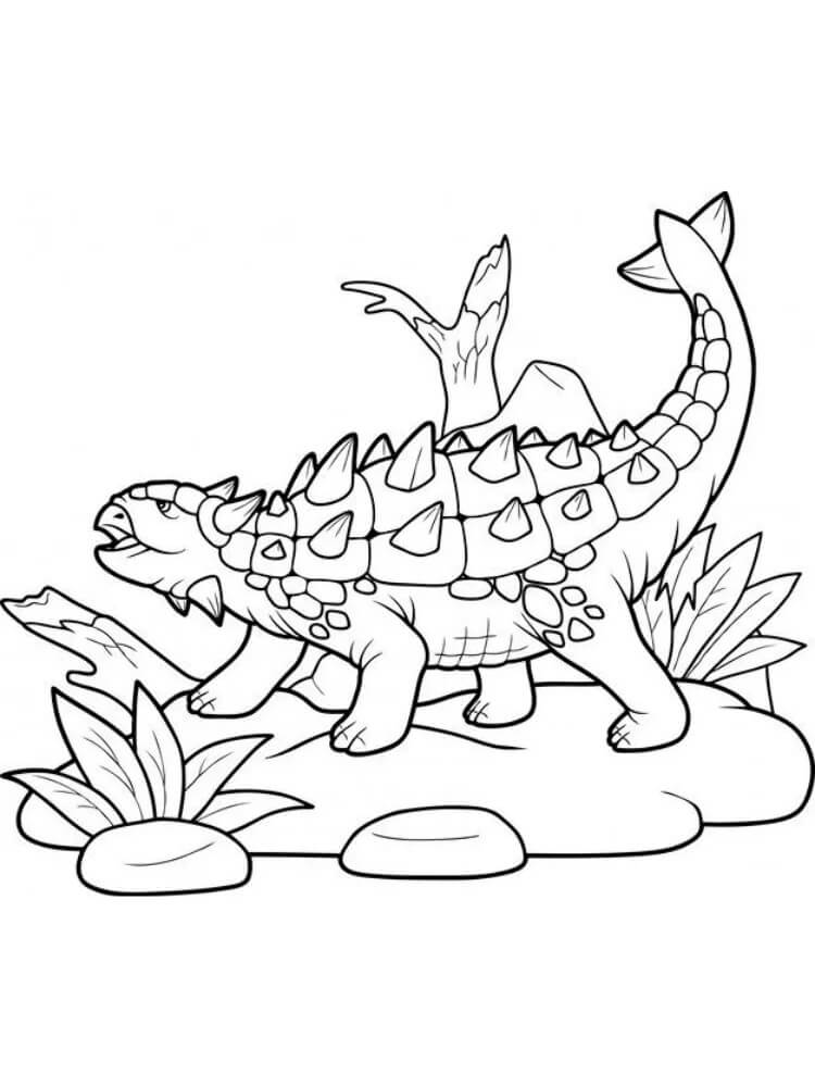 A Ankylosaurus
