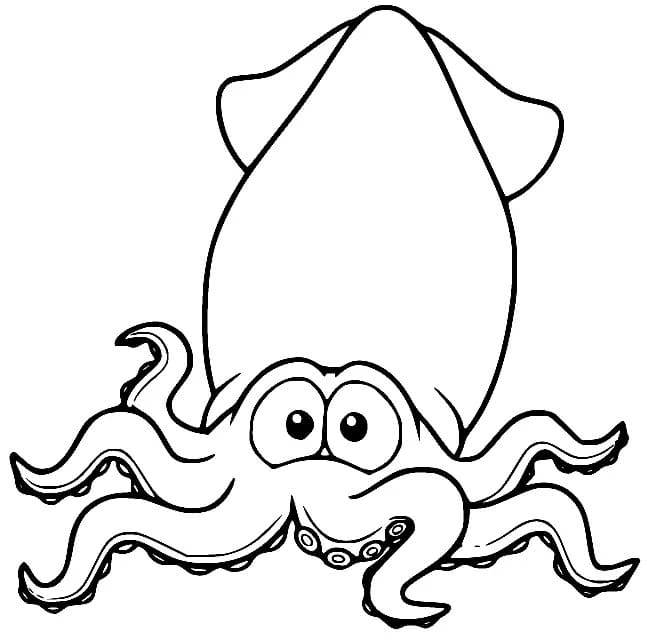 A Cartoon Squid