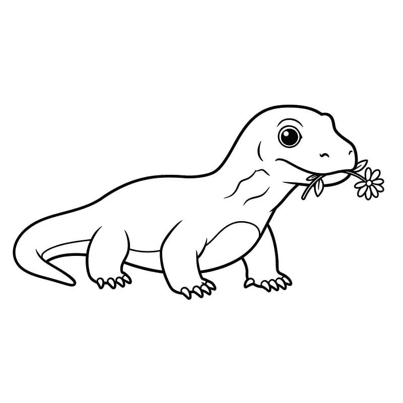A Cute Komodo Dragon