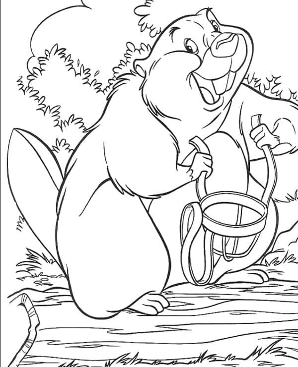 A Happy Beaver