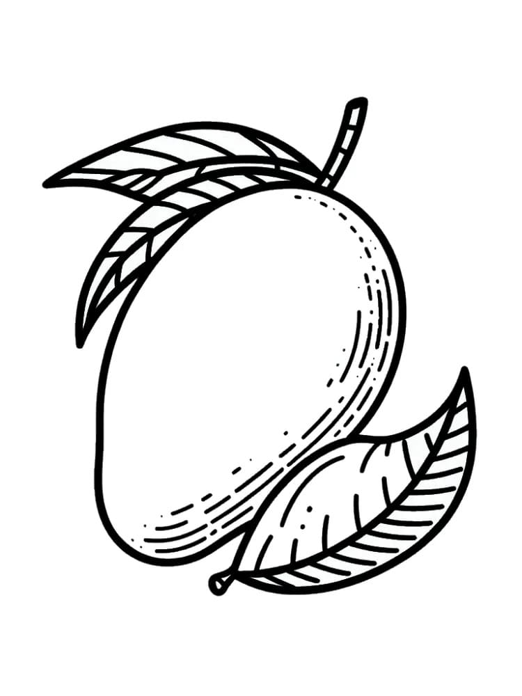 A Mango Fruit