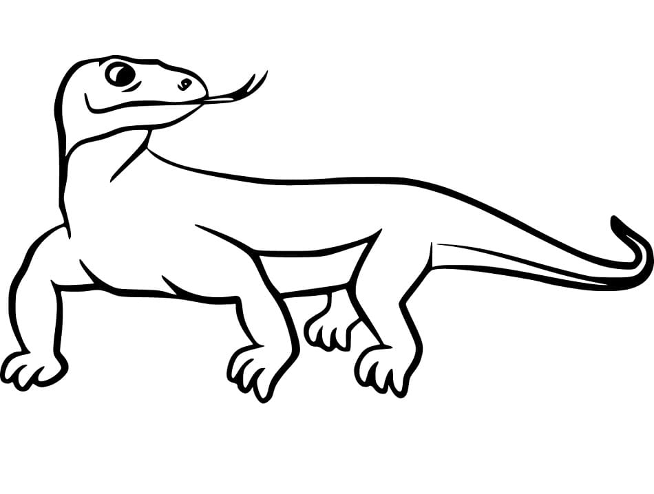 A simple Komodo Dragon
