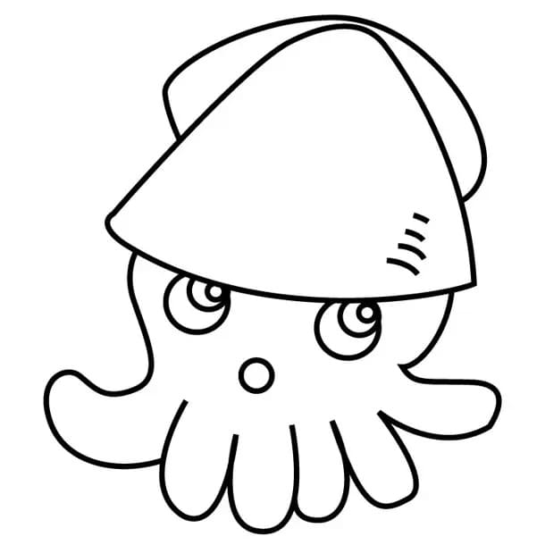 A Simple Squid