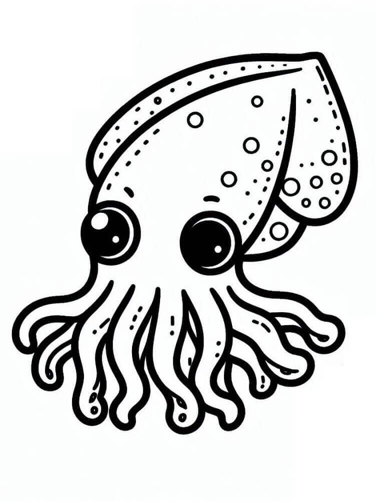A Squid