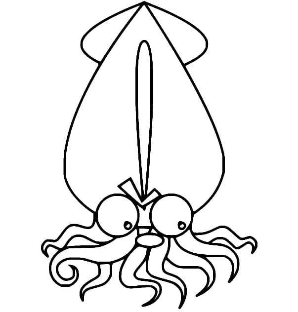 Angry Squid