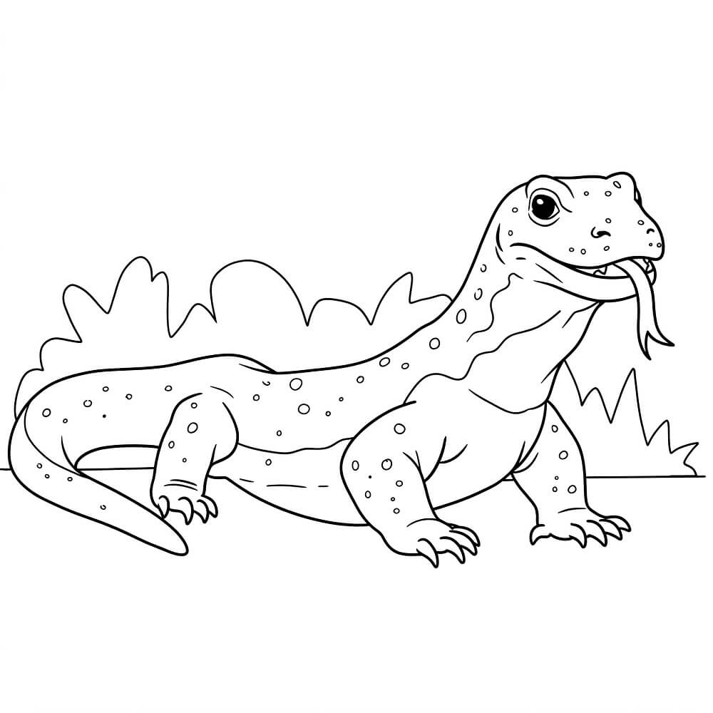 Basic Komodo Dragon