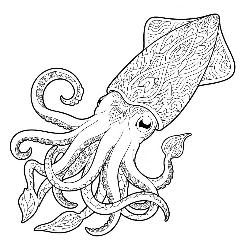 Beautiful Squid