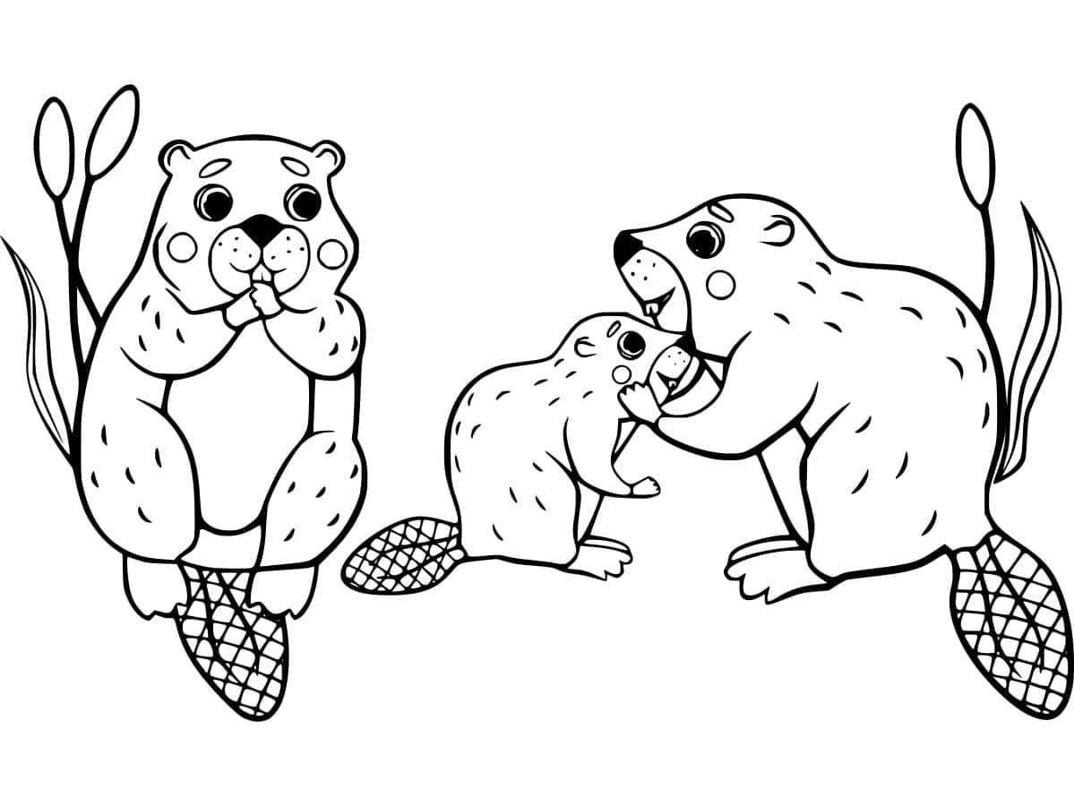 Beaver Family