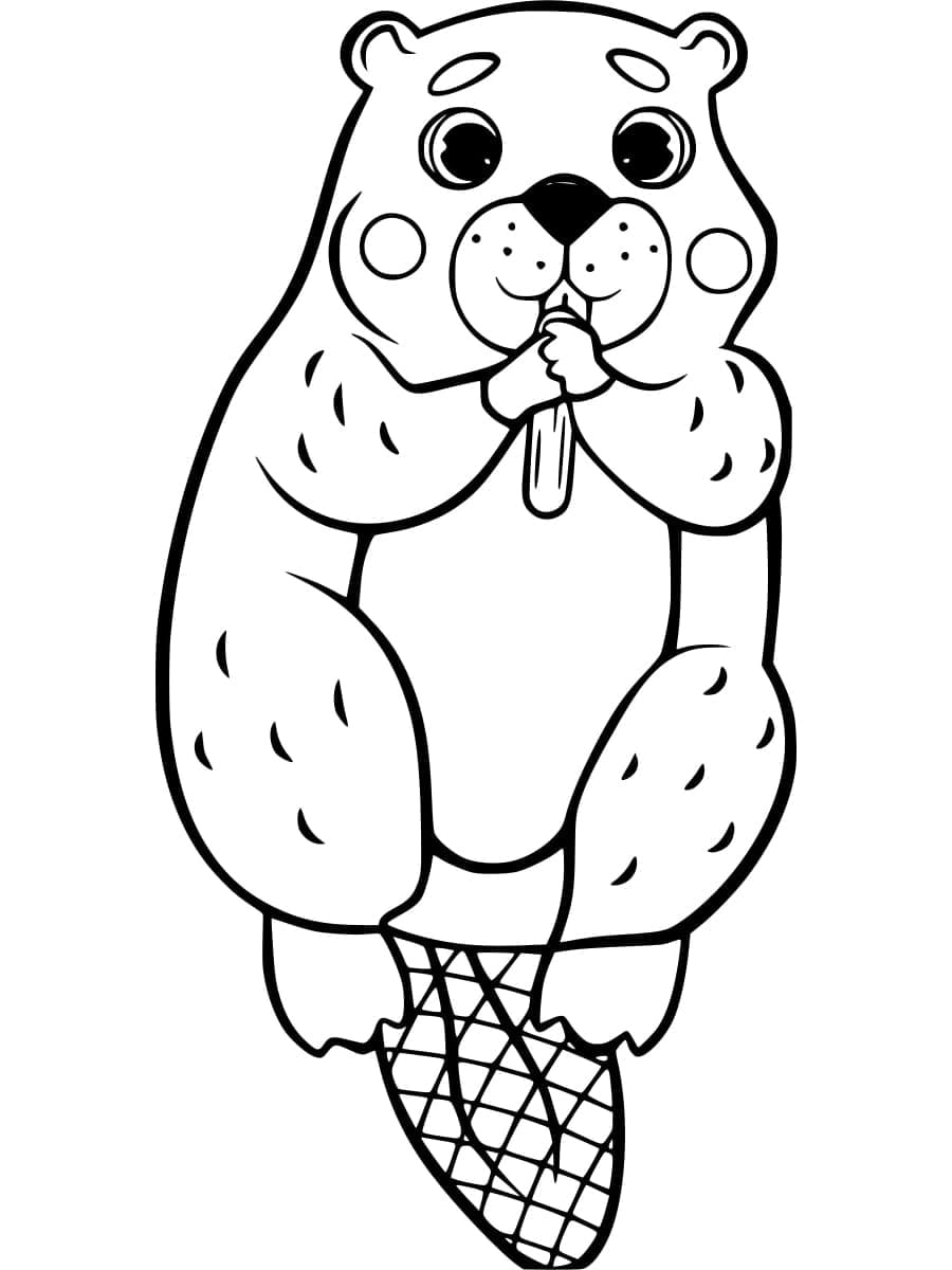 Beaver For Children
