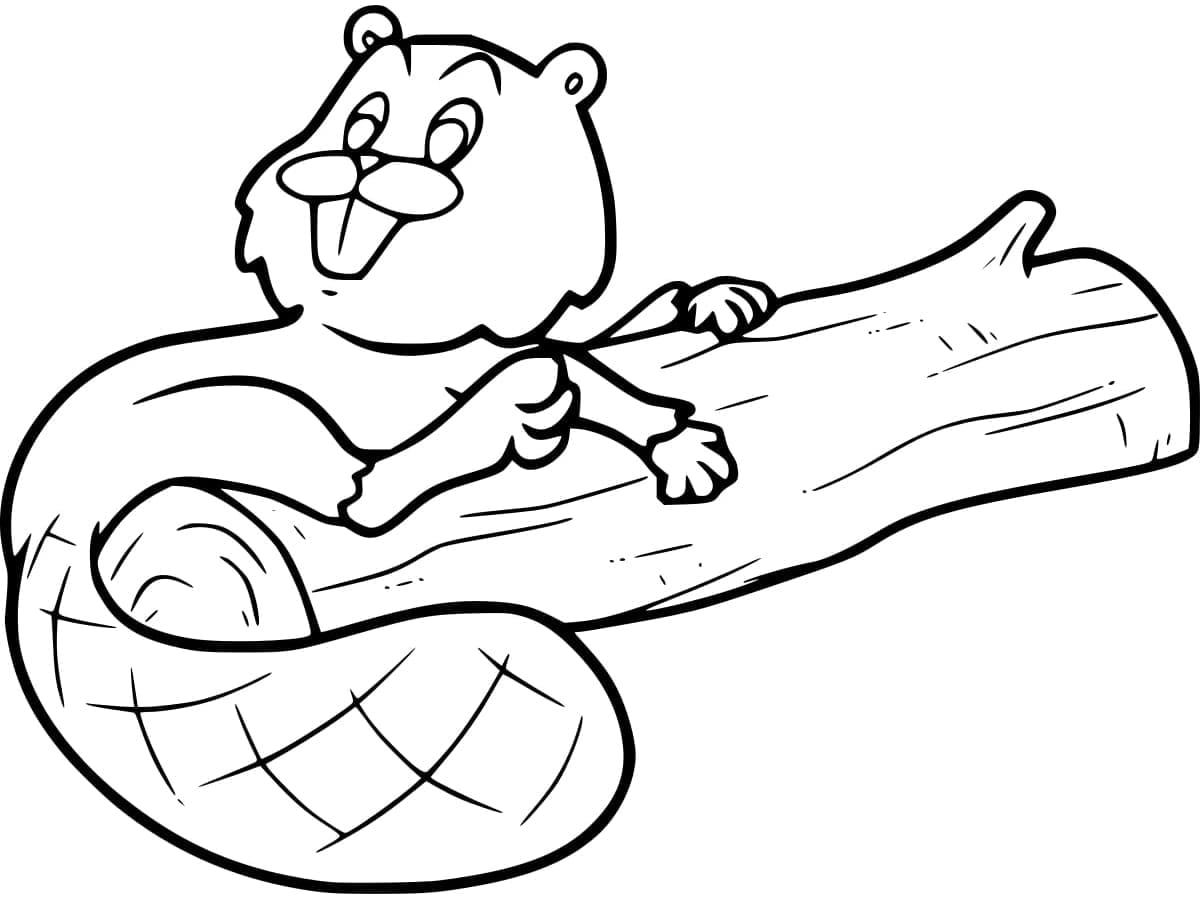 Beaver For Kids