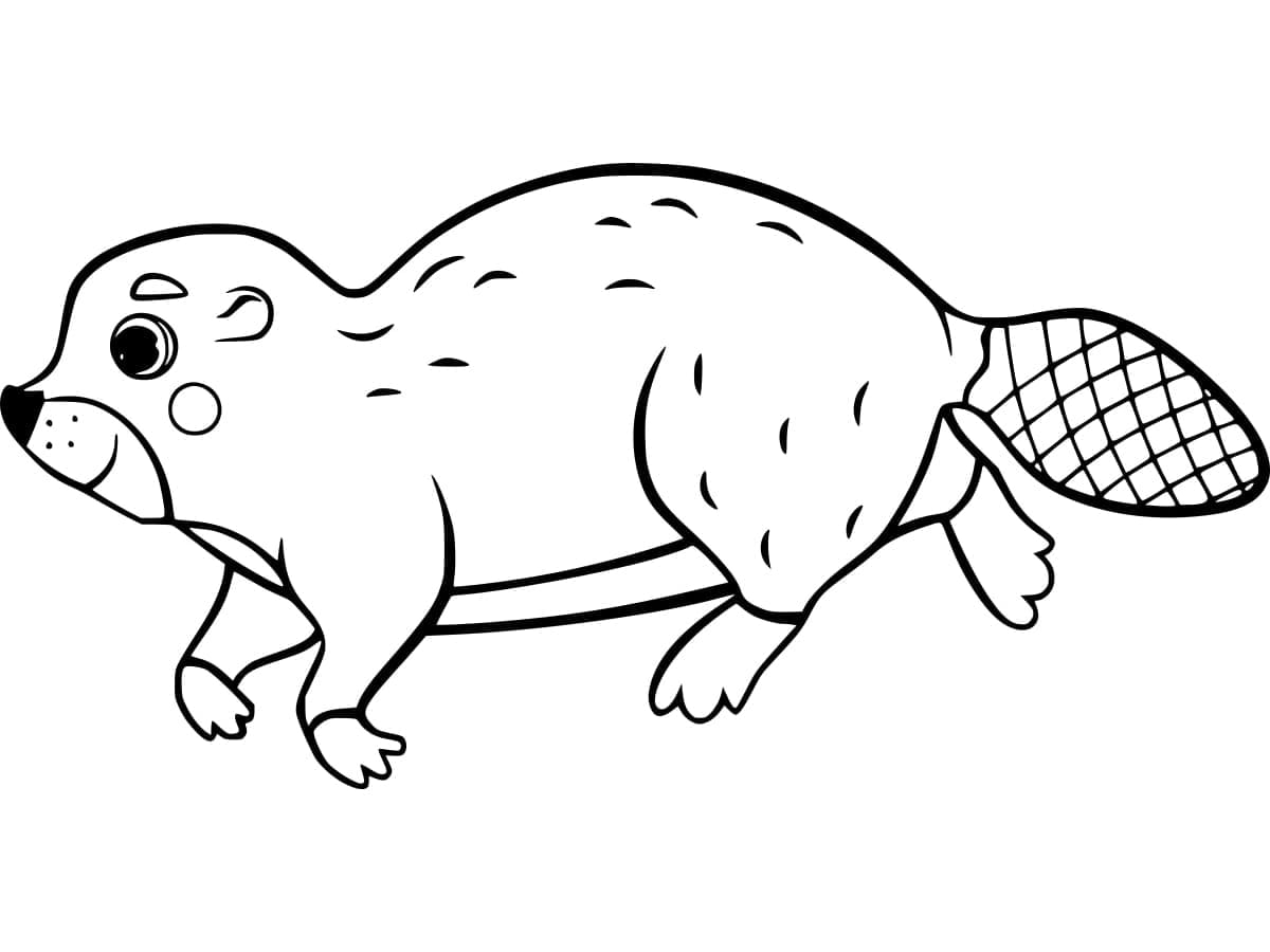 Beaver Printable For Kids
