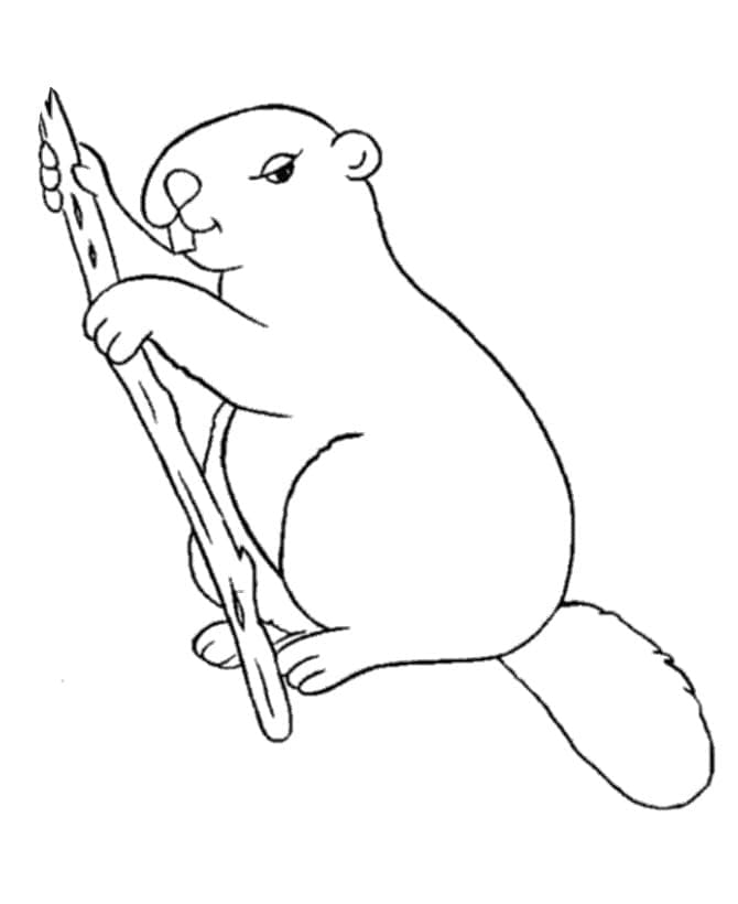 Beaver with Branch