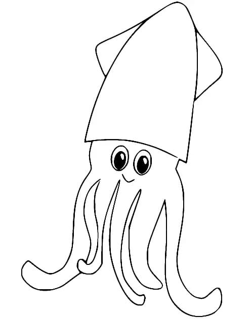 Cheerful Squid