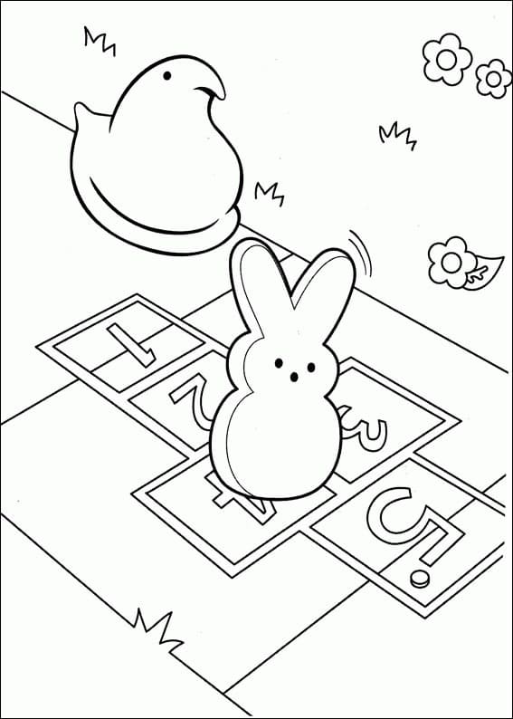 Chick and Bunny Marshmallow Peeps