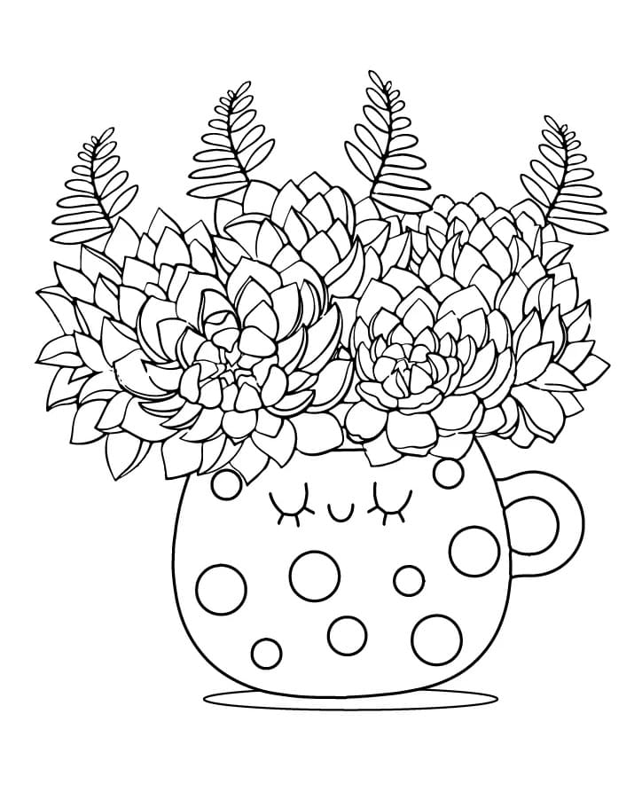Cute Succulent