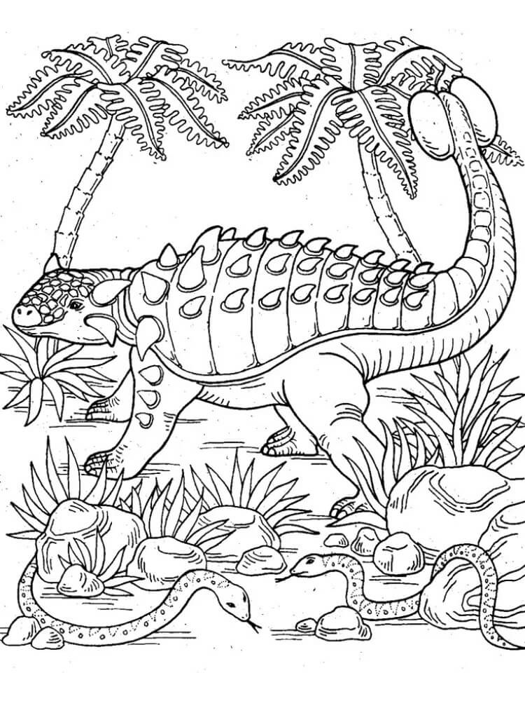 Drawing of Ankylosaurus