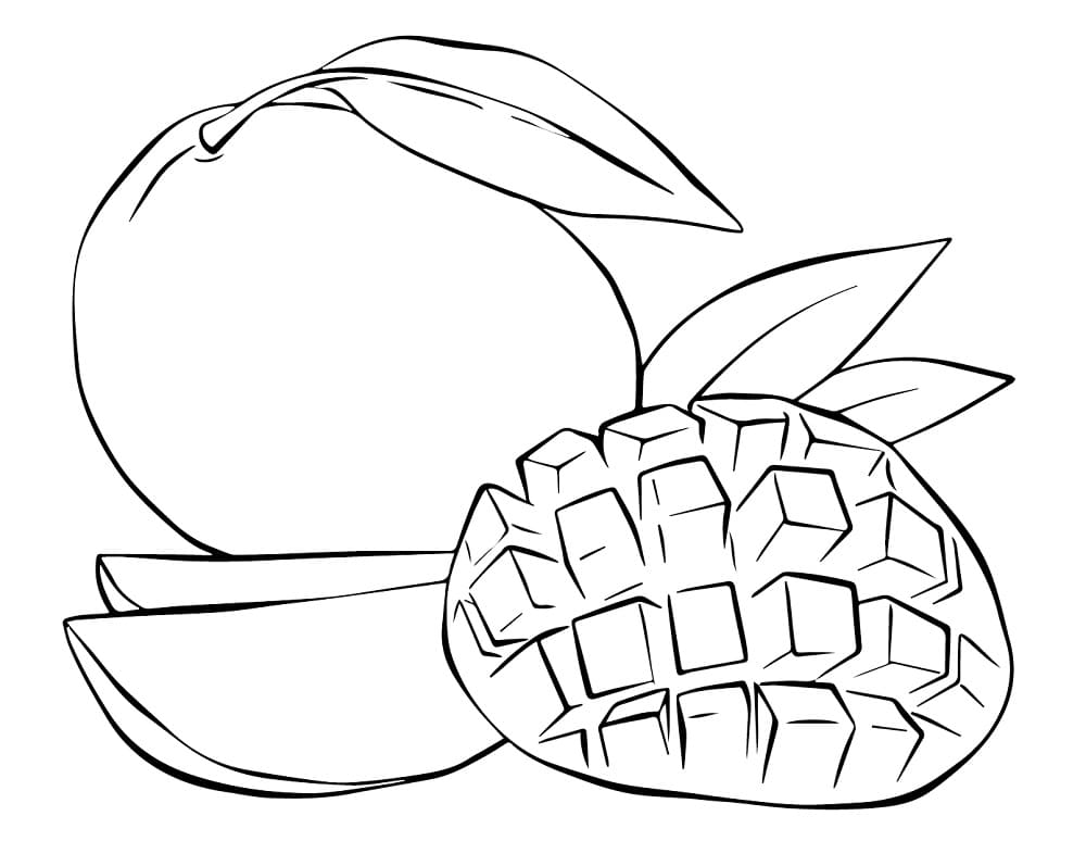 Drawing of Mango