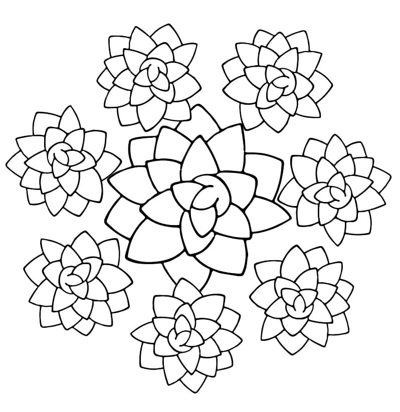 Easy Succulent