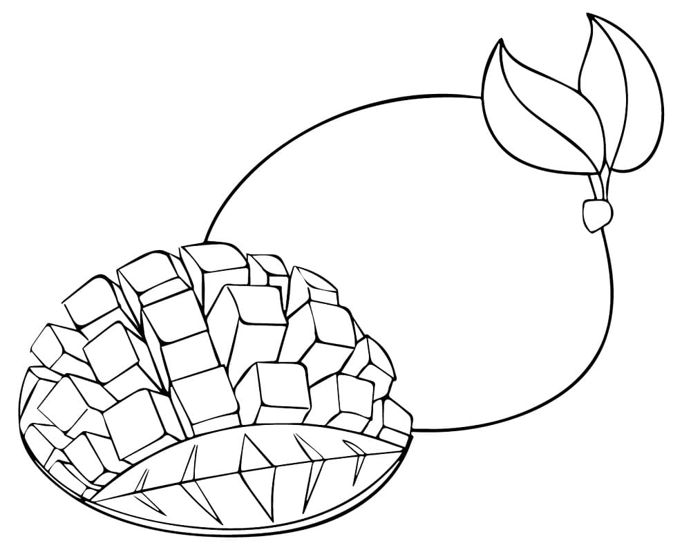 Free Drawing of Mango