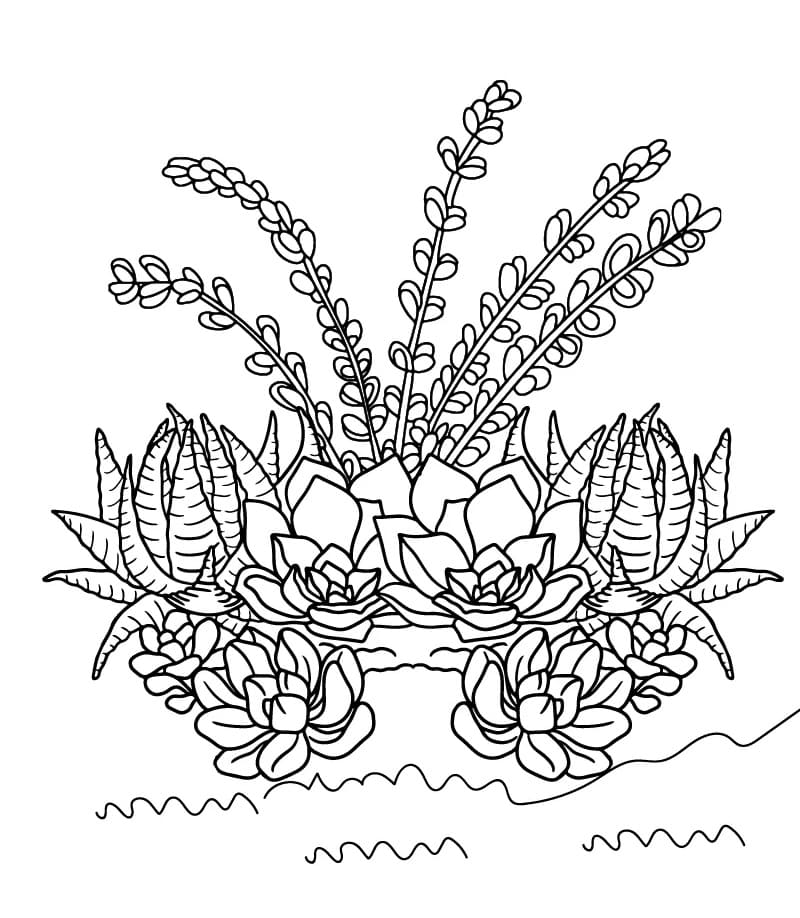 Free Drawing of Succulent