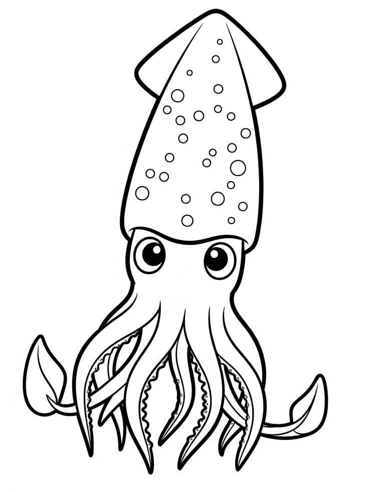 Free Squid