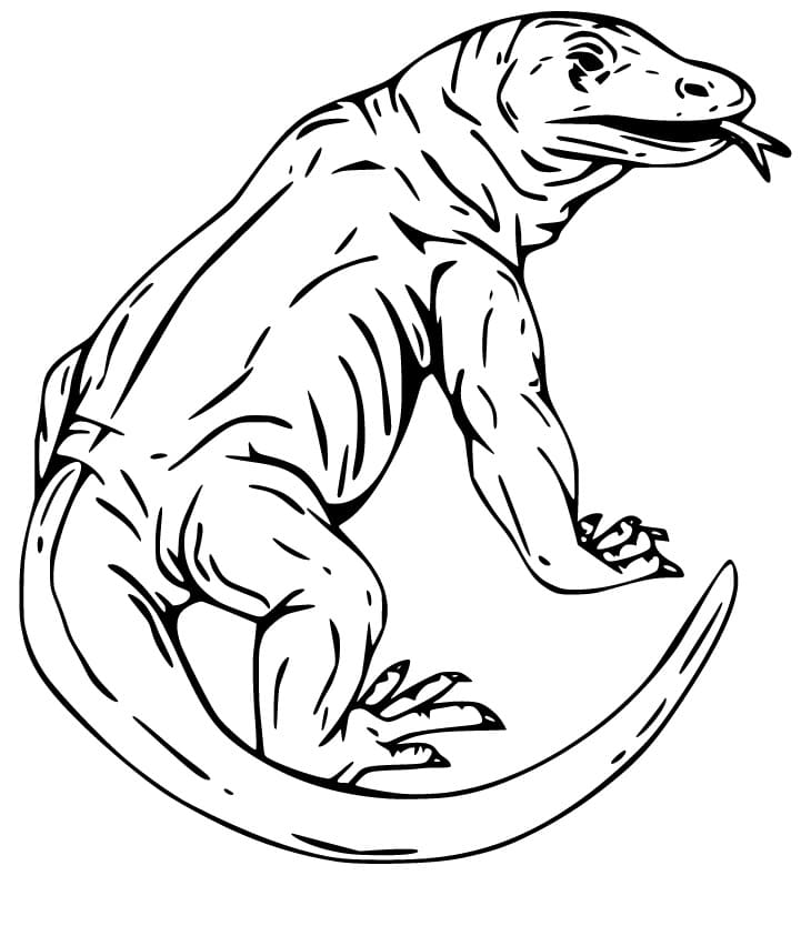 Komodo Dragon For Free