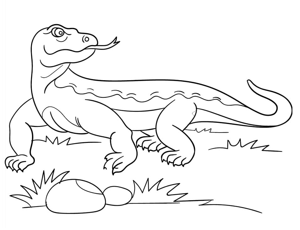 Komodo Dragon For Kids