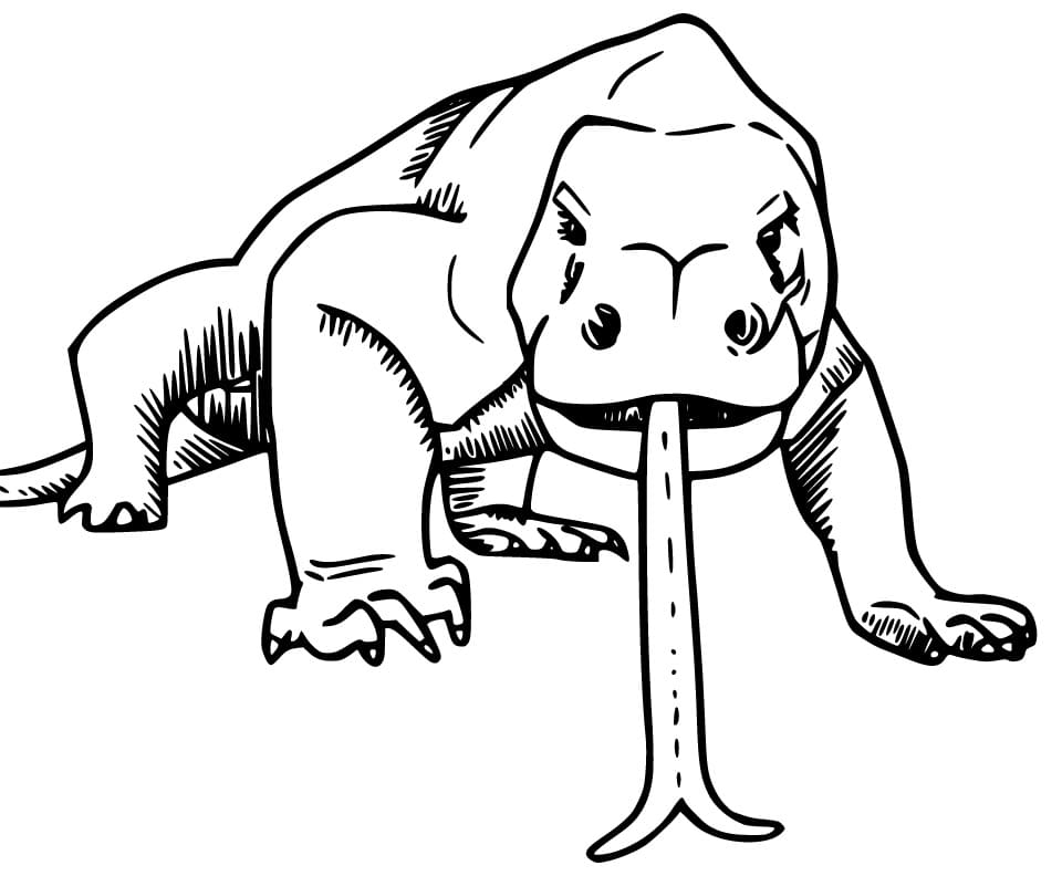 Komodo Dragon Free
