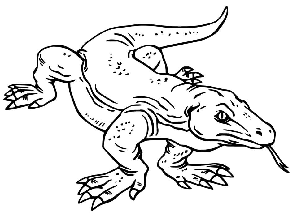 Komodo Dragon Free Printable