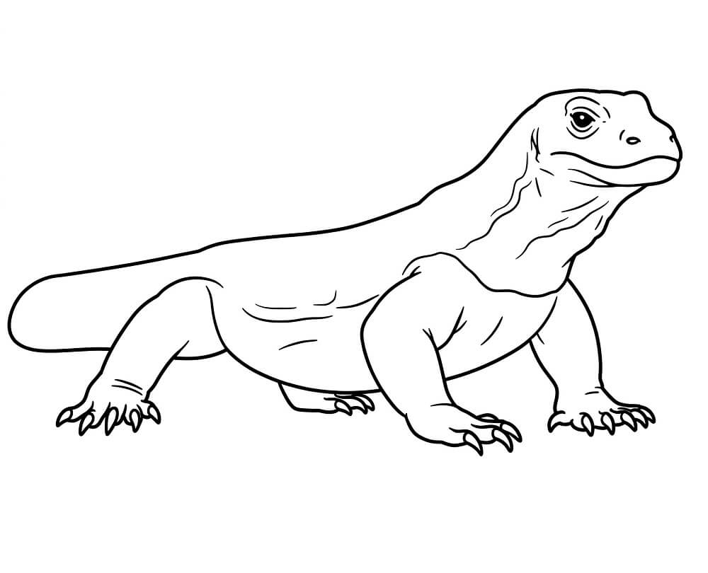 Komodo Dragon Printable for Kids