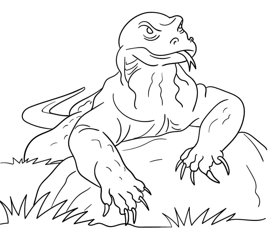 Komodo Dragon to Print