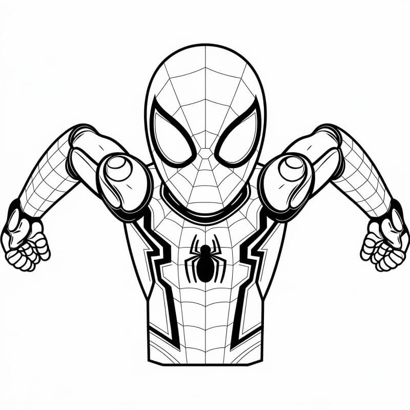 Little Iron Spider