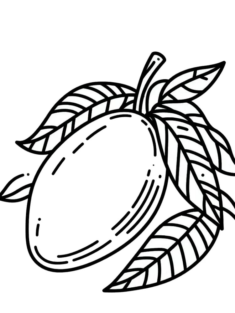 Mango Fruit
