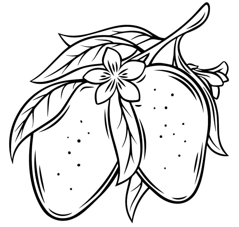 Mango coloring pages