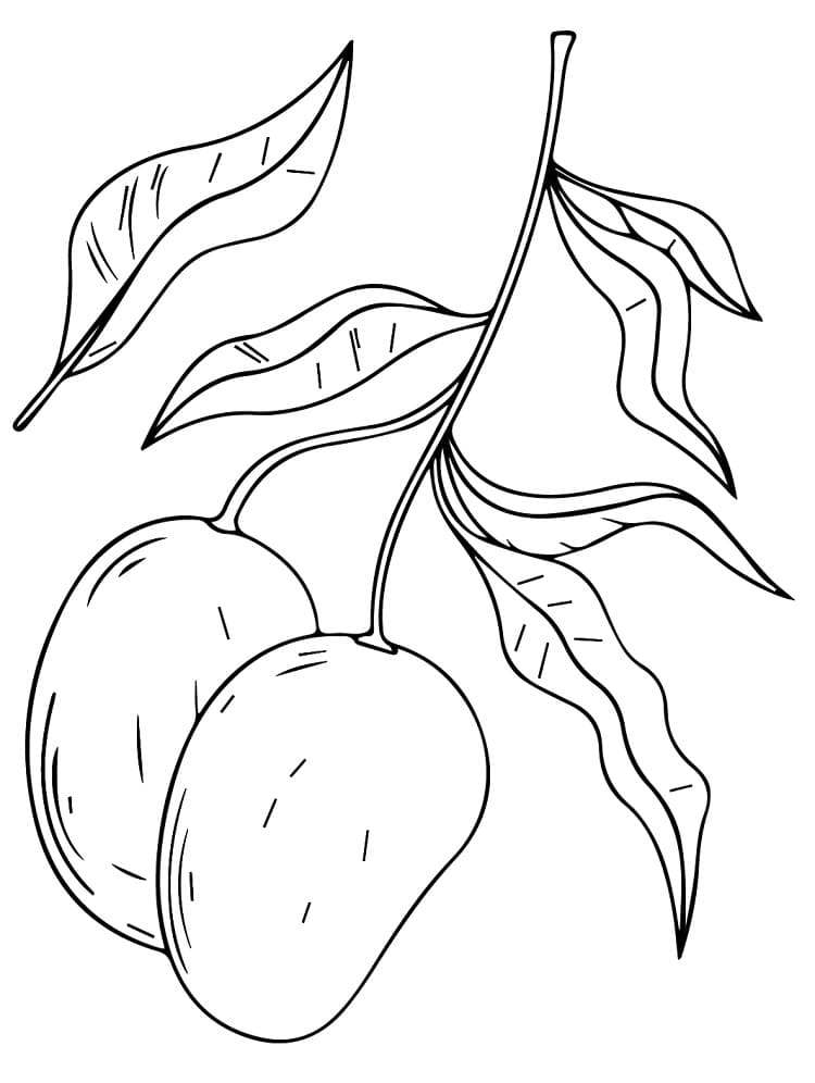 Mangos and Leaves