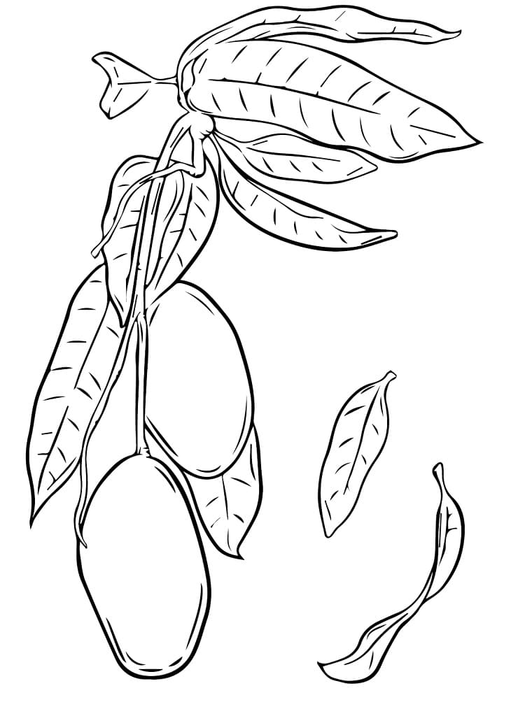Mangos in the Tree