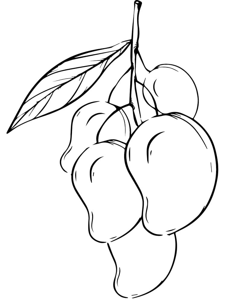 Many Mangos