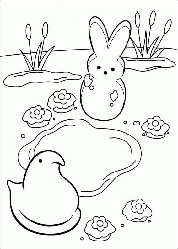 Marshmallow Peeps for Kids
