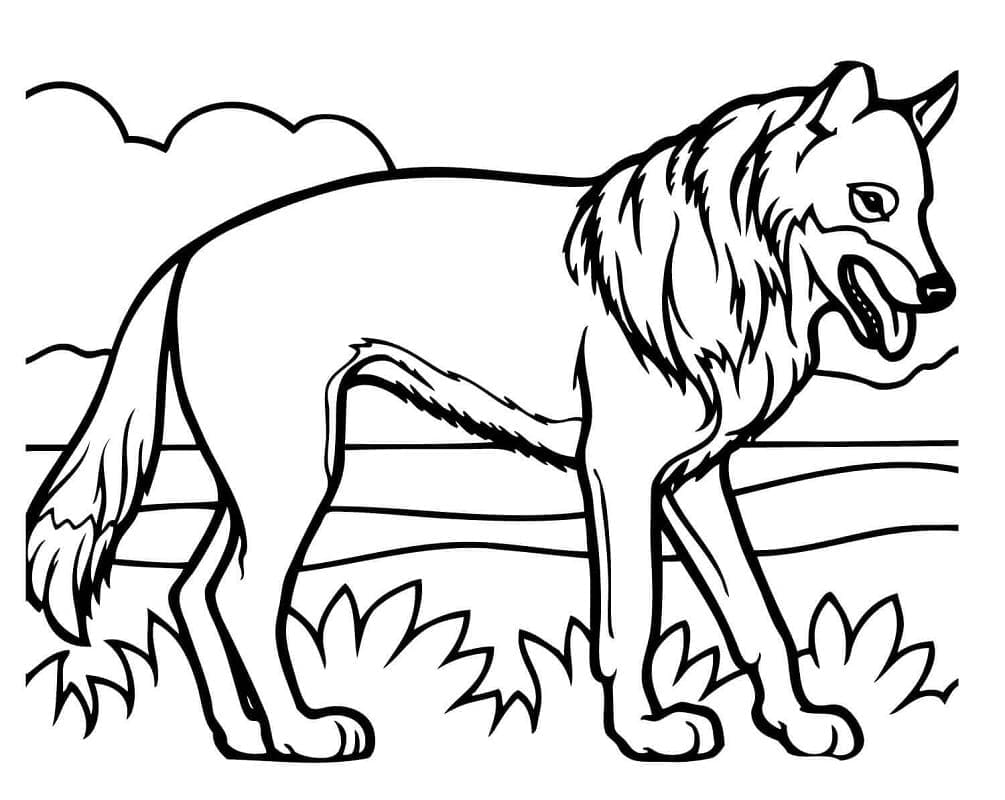 Print Coyote
