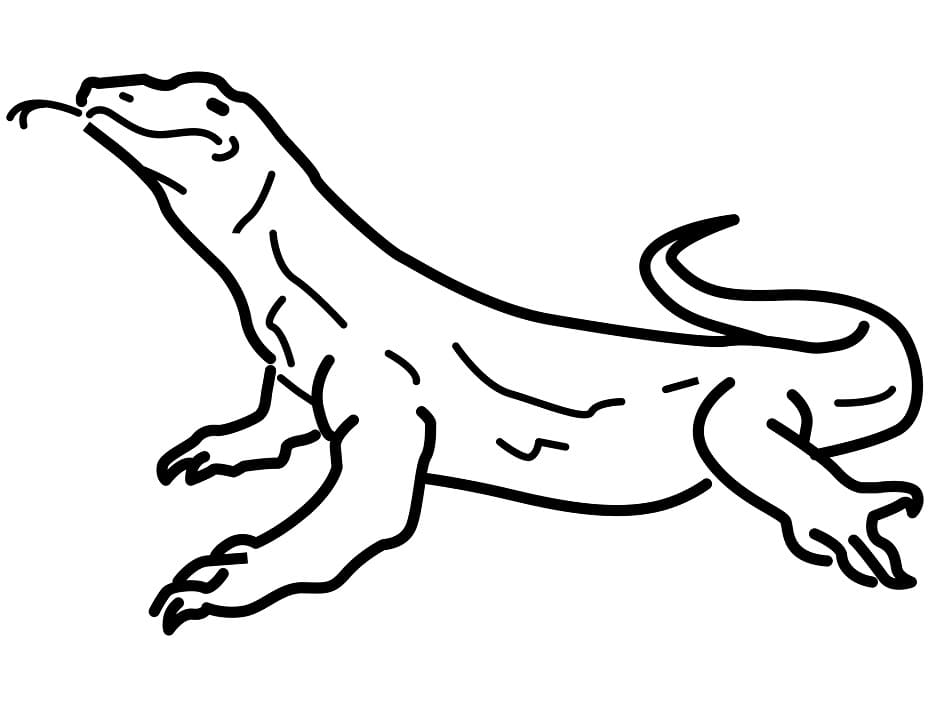 Print Komodo Dragon