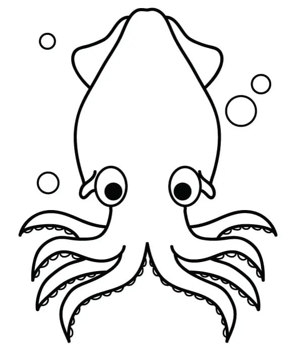 Print Squid
