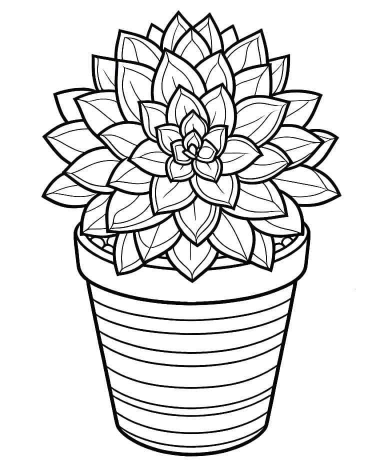 Print Succulent